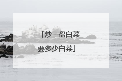 炒一盘白菜要多少白菜