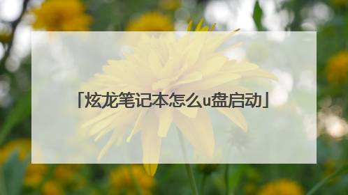 炫龙笔记本怎么u盘启动