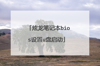 炫龙笔记本bios设置u盘启动