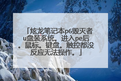 炫龙笔记本p6毁灭者u盘装系统。进入pe后。鼠标。键盘。触控都没反应无法操作。