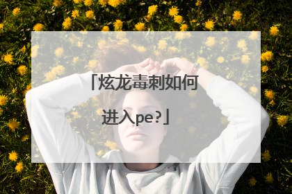 炫龙毒刺如何进入pe?