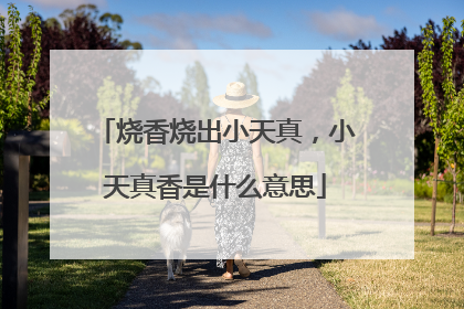 烧香烧出小天真,小天真香是什么意思