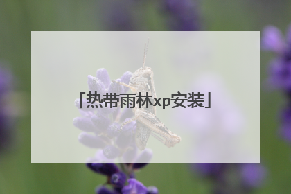 热带雨林xp安装