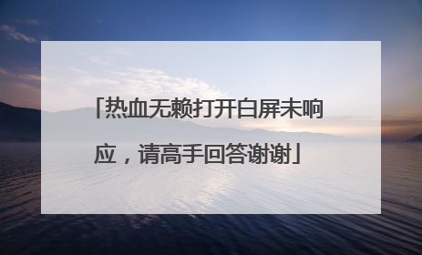 热血无赖打开白屏未响应,请高手回答谢谢