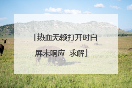 热血无赖打开时白屏未响应 求解