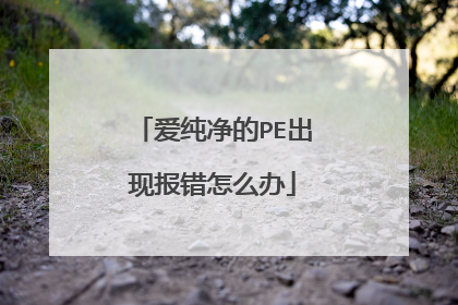 爱纯净的PE出现报错怎么办