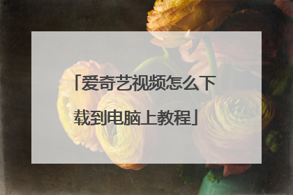 爱奇艺视频怎么下载到电脑上教程