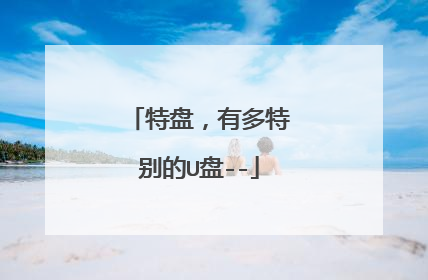特盘,有多特别的U盘--