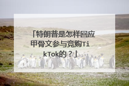 特朗普是怎样回应甲骨文参与竞购TikTok的？