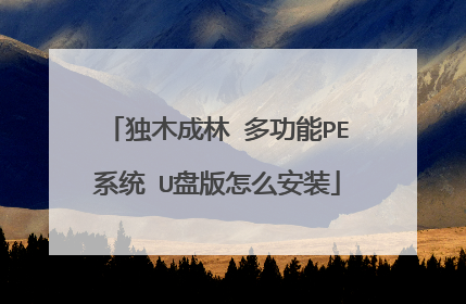 独木成林 多功能PE系统 U盘版怎么安装