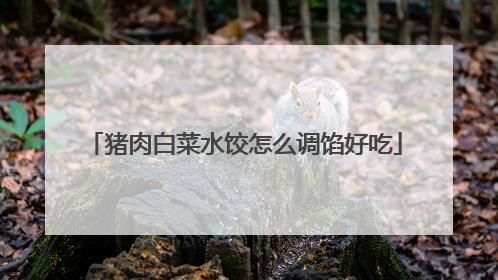 猪肉白菜水饺怎么调馅好吃
