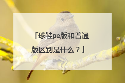 球鞋pe版和普通版区别是什么？