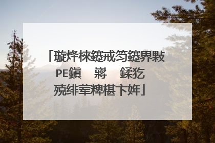 璇烽棶鑳戒笉鑳界敤PE鎭㈠�嶈��鍒犵殑绯荤粺椹卞姩