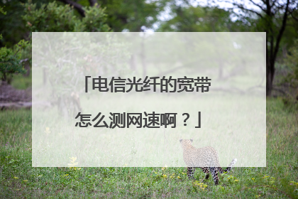 电信光纤的宽带怎么测网速啊？