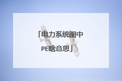 电力系统图中PE啥意思