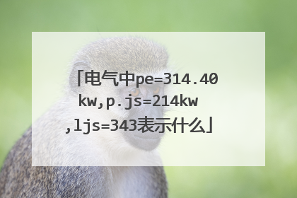 电气中pe=314.40kw,p.js=214kw,ljs=343表示什么