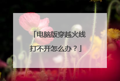 电脑版穿越火线打不开怎么办?