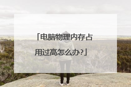 电脑物理内存占用过高怎么办?