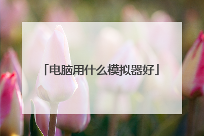 电脑用什么模拟器好