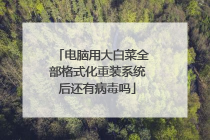 电脑用大白菜全部格式化重装系统后还有病毒吗