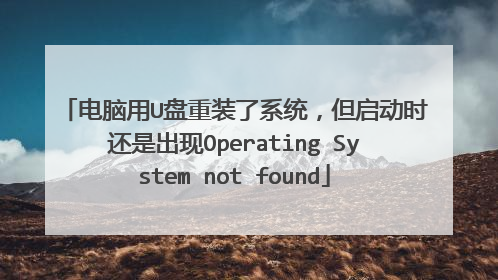 电脑用U盘重装了系统,但启动时还是出现Operating System not found