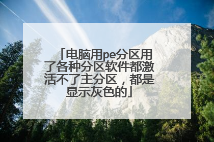 电脑用pe分区用了各种分区软件都激活不了主分区,都是显示灰色的