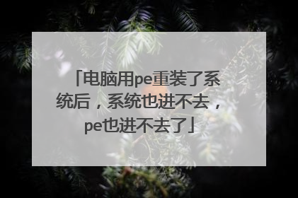 电脑用pe重装了系统后，系统也进不去，pe也进不去了