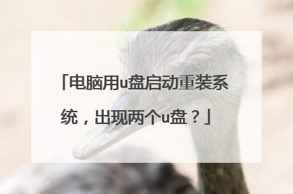 电脑用u盘启动重装系统,出现两个u盘?