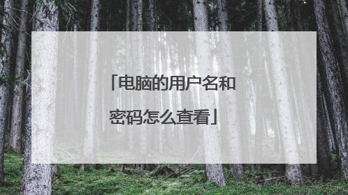 电脑的用户名和密码怎么查看