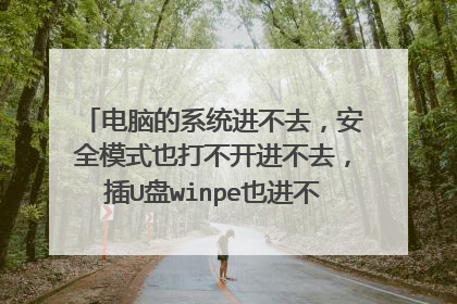 电脑的系统进不去，安全模式也打不开进不去，插U盘winpe也进不去，能进bois模式，怎检查解决。