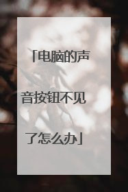 电脑的声音按钮不见了怎么办