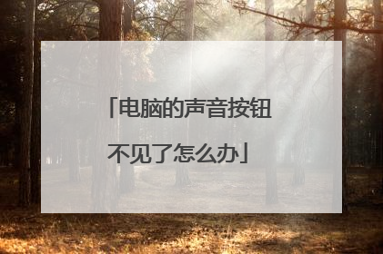 电脑的声音按钮不见了怎么办