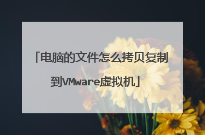 电脑的文件怎么拷贝复制到VMware虚拟机