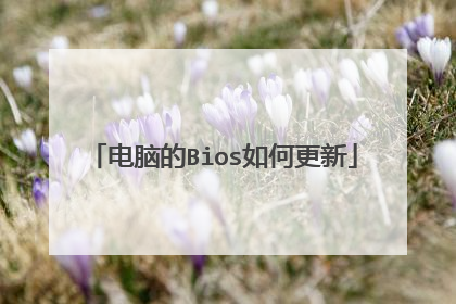 电脑的Bios如何更新