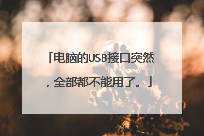 电脑的USB接口突然，全部都不能用了。