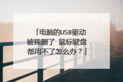 电脑的USB驱动被我删了 鼠标键盘都用不了怎么办?