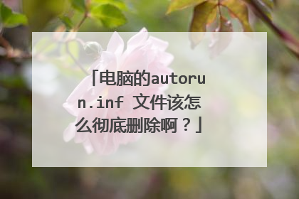 电脑的autorun.inf 文件该怎么彻底删除啊?