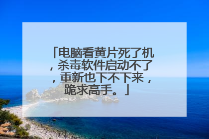 电脑看黄片死了机，杀毒软件启动不了，重新也下不下来，跪求高手。