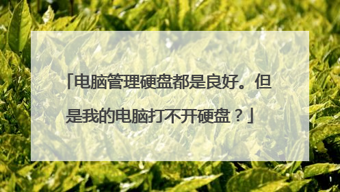 电脑管理硬盘都是良好。但是我的电脑打不开硬盘?