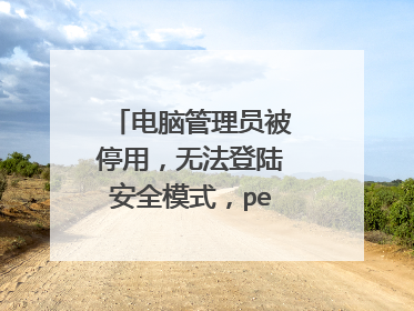 电脑管理员被停用，无法登陆安全模式，pe输命令符没用