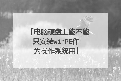 电脑硬盘上能不能只安装winPE作为操作系统用