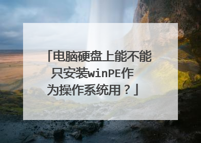 电脑硬盘上能不能只安装winPE作为操作系统用？
