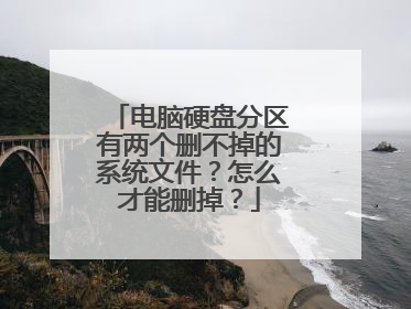 电脑硬盘分区有两个删不掉的系统文件？怎么才能删掉？