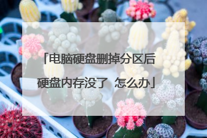 电脑硬盘删掉分区后 硬盘内存没了 怎么办