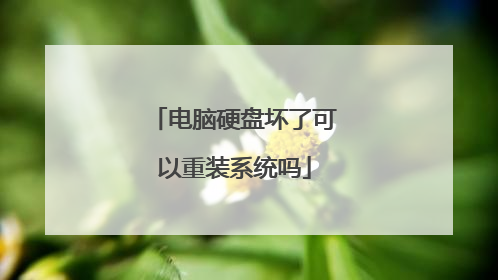 电脑硬盘坏了可以重装系统吗