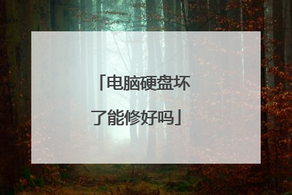 电脑硬盘坏了能修好吗