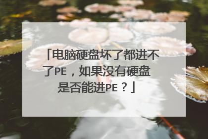 电脑硬盘坏了都进不了PE，如果没有硬盘是否能进PE？