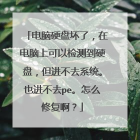 电脑硬盘坏了,在电脑上可以检测到硬盘,但进不去系统。也进不去pe。怎么修复啊?