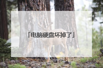 电脑硬盘坏掉了