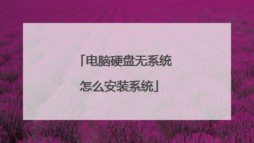 电脑硬盘无系统怎么安装系统